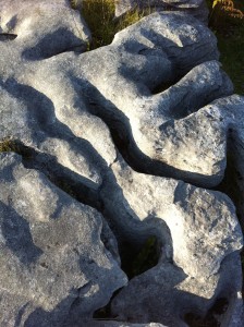 The Burren Close-up