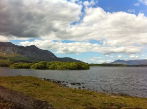 Connemara Colors