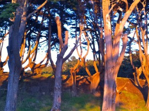 Sunset Light at Lands End